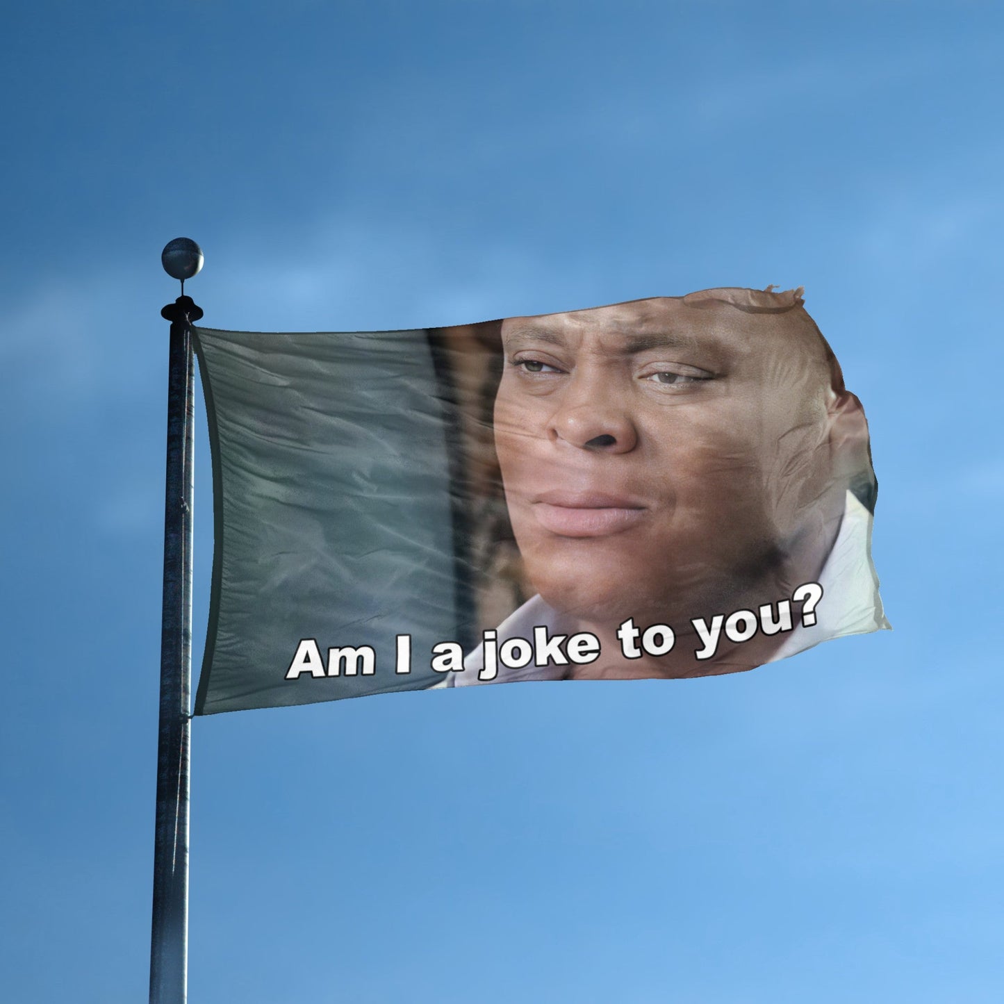 Am I A Joke To You Meme Flag