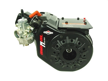 Briggs Animal Engine for QMA Quarter Midget Racing