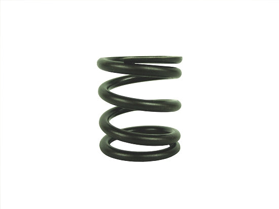 Briggs & Stratton LO206 / Animal Valve Spring 26826 - Progressive Rate - LO206 Legal