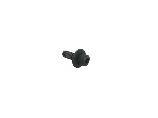 Metric Intake Screw for Current Briggs Animal and LO206 Models
