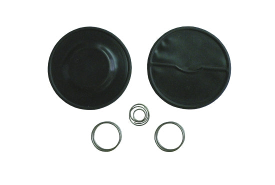 Essential K1FPC Fuel Pump Repair Kit for Kart Maintenance