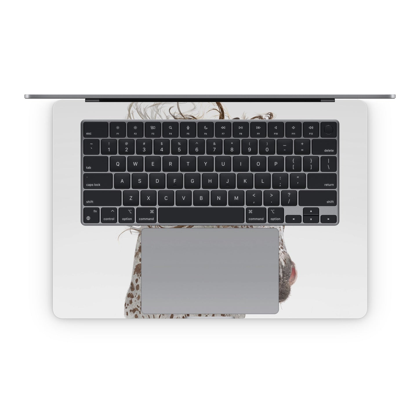 Appaloosa - Apple MacBook Skin