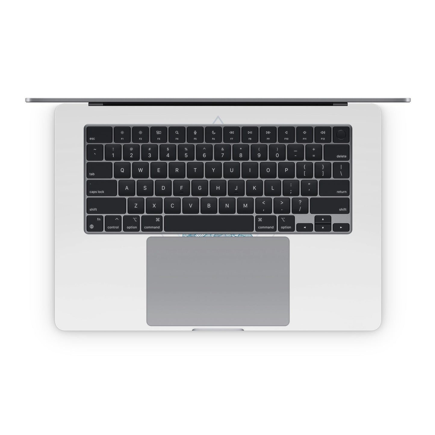Iceberg - Apple MacBook Skin