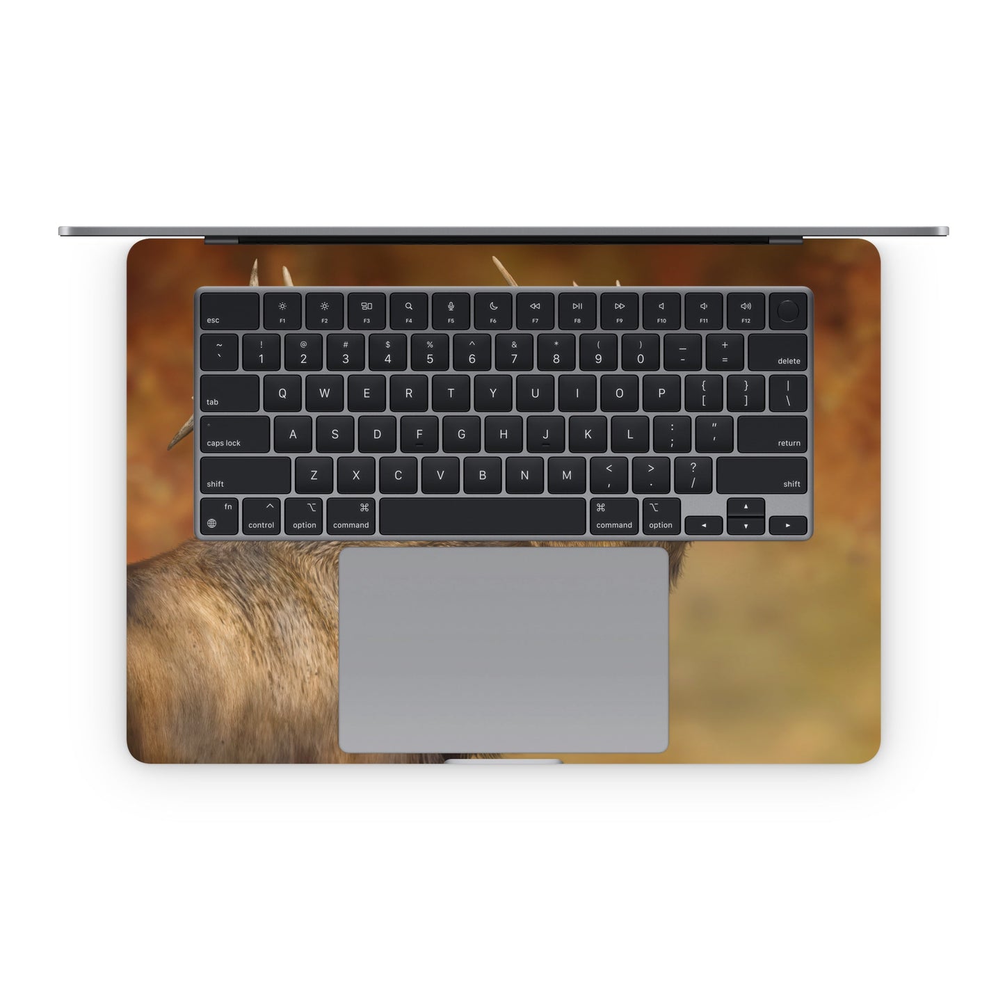 Bugle Boy - Apple MacBook Skin