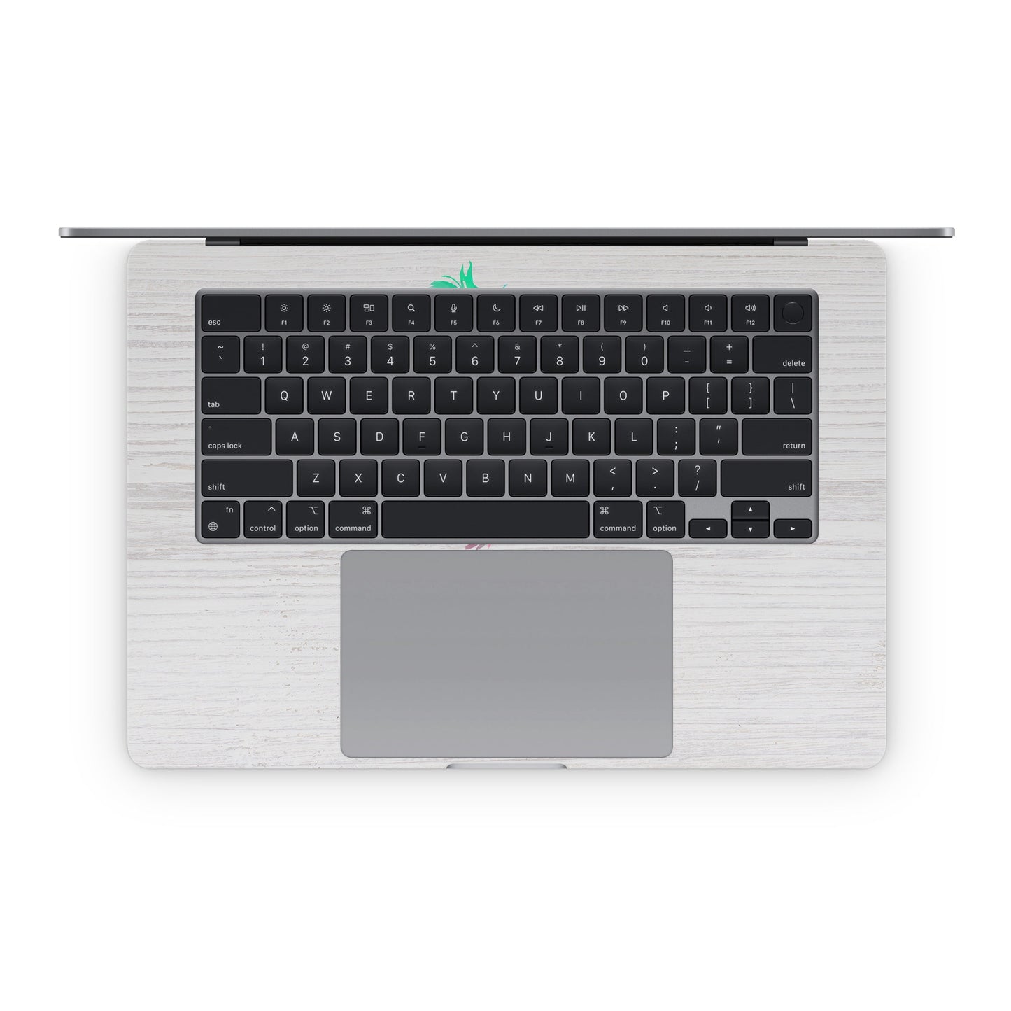 Compass - Apple MacBook Skin