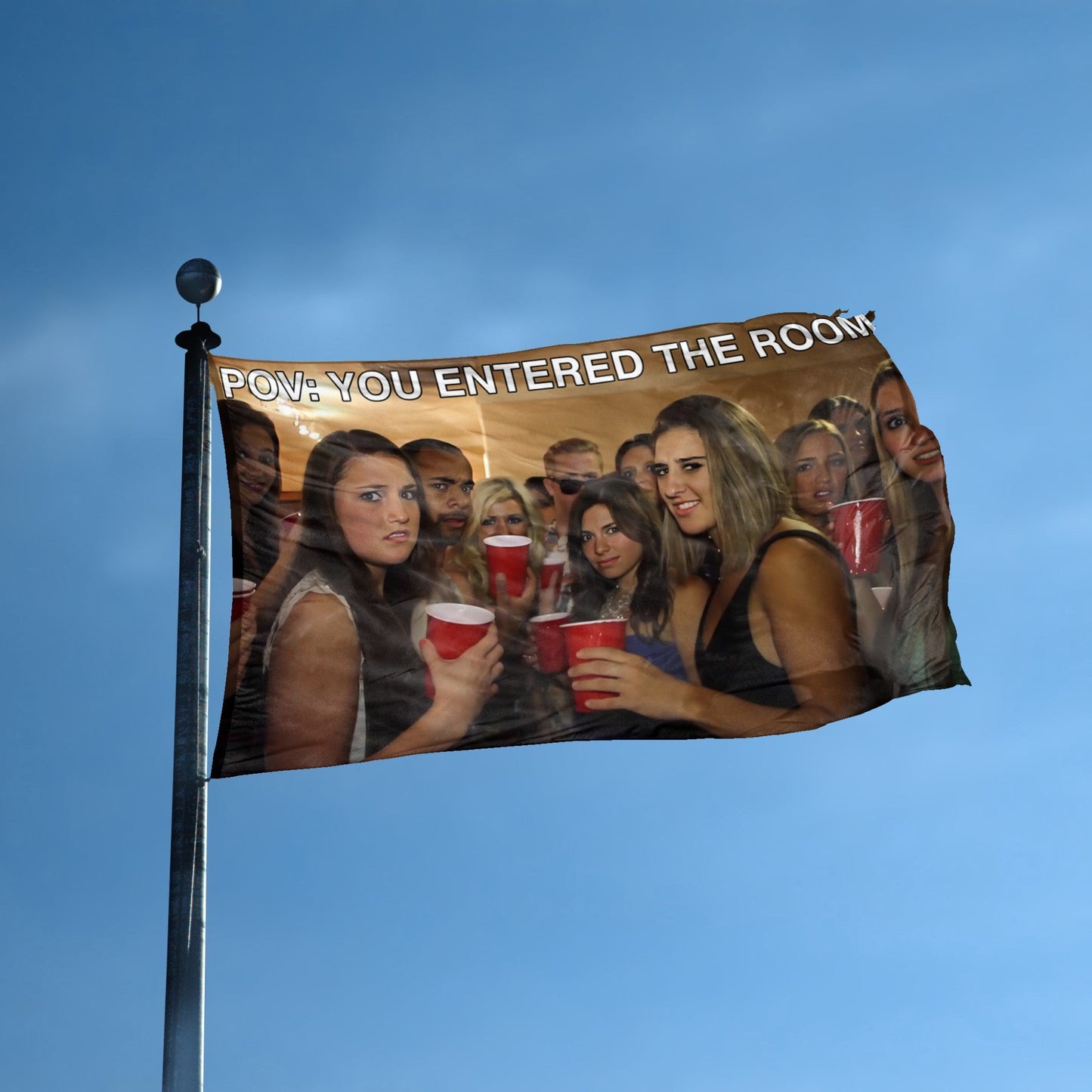 POV You Entered The Room Meme Flag