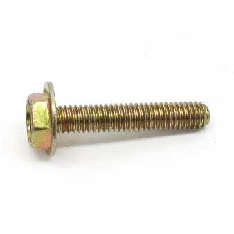 Coil Mount Screw for Raptor Ignition (Superseded by 691621)