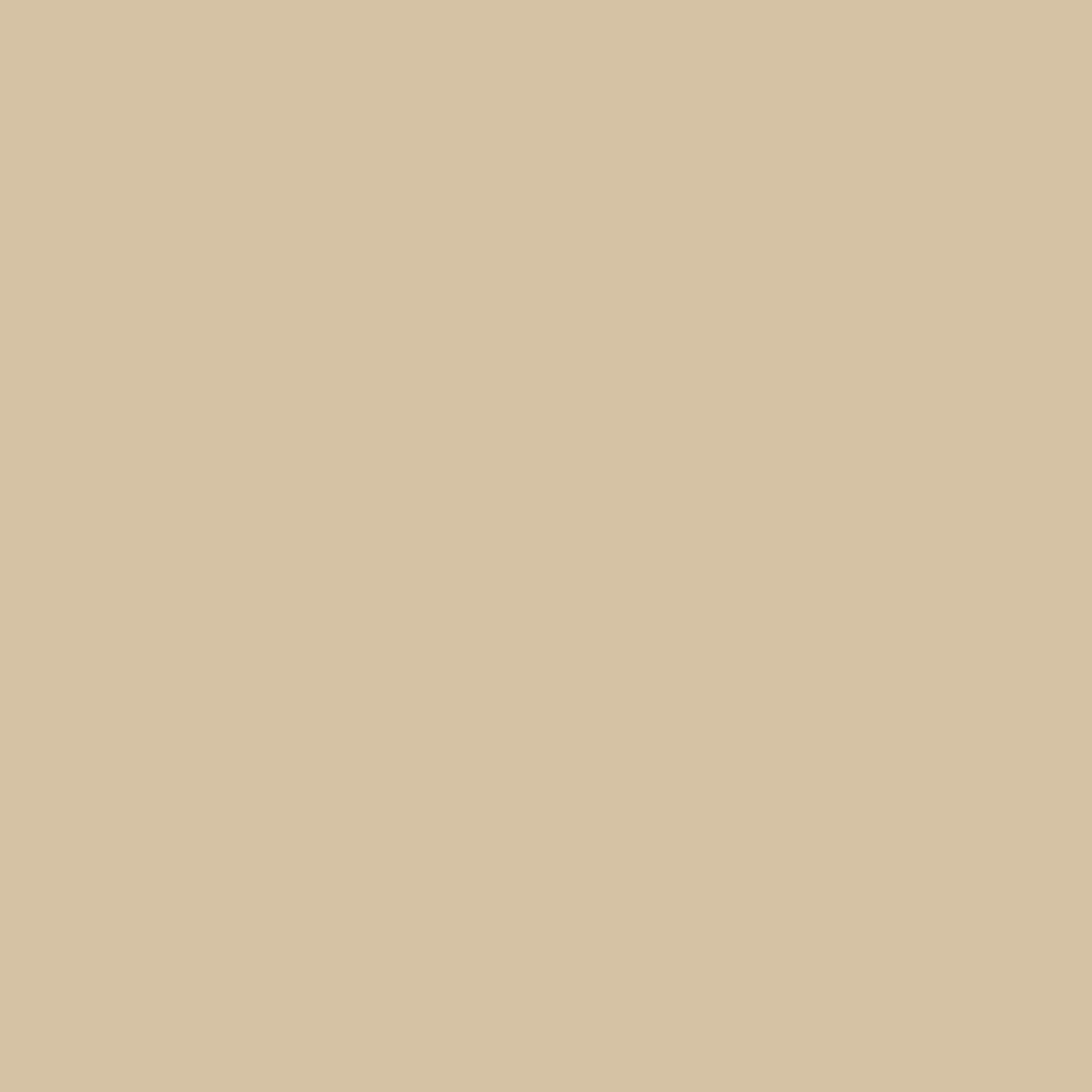 Solid State Beige - DJI FPV Remote Controller 2 Skin
