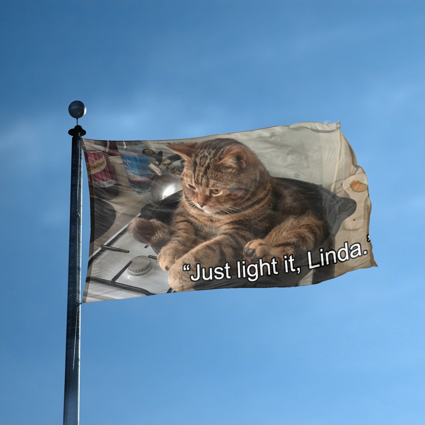 Stove Top Kitty Just Light It Linda Meme Flag