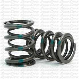 Dyno Cams Briggs Animal 36# Dual Valve Springs - Green Stripe - Modified Class