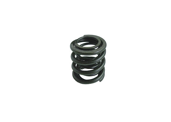 Briggs & Stratton World Formula Valve Spring - 557024 - Briggs Racing
