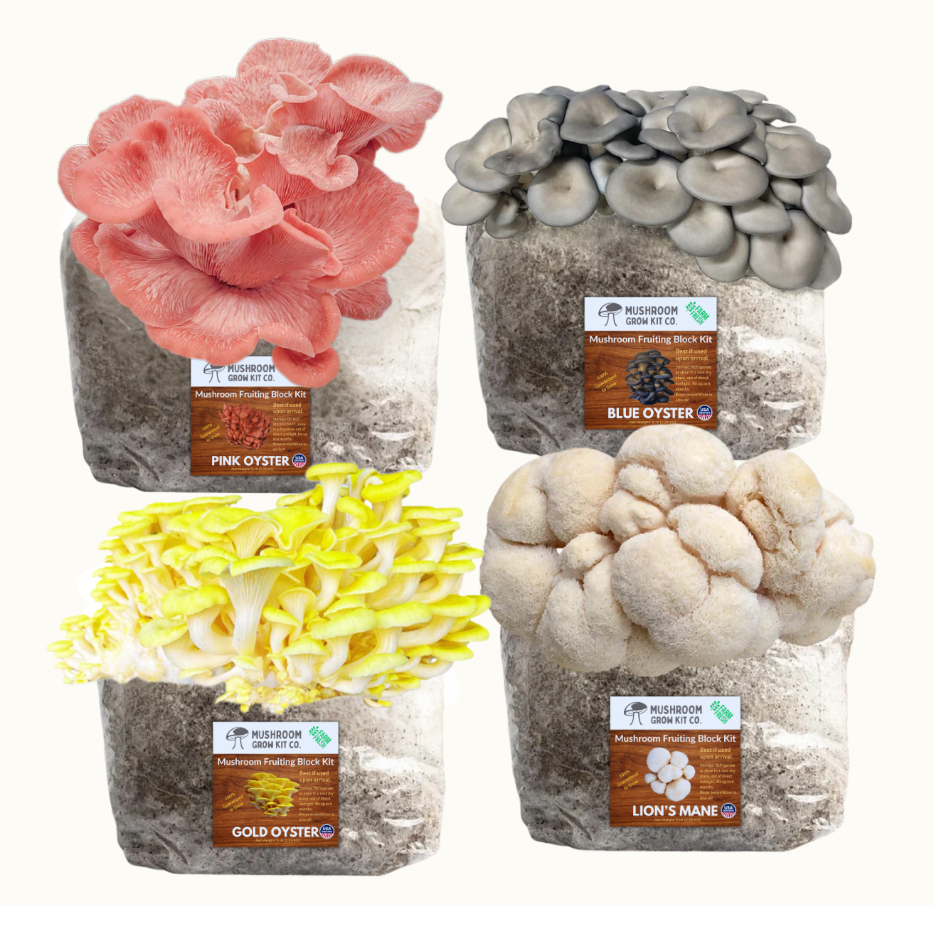 4 Pack - Premium Lion's Mane, Gold, Pink, and Blue Oyster Mushroom Fruiting Block Grow Kits - 20 LBS
