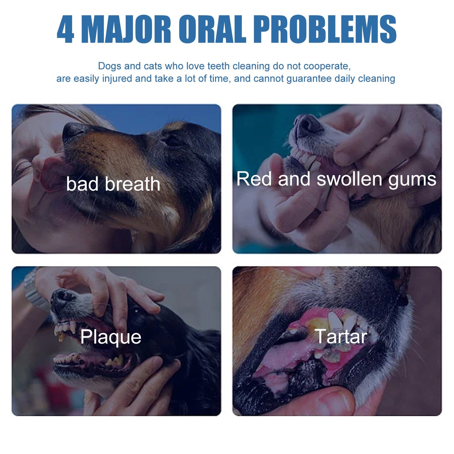 Pet Tartar Remover, Removing Dental Calculus Yellow Teeth Halitosis Cleaning Teeth Mouth Foam Cleaner