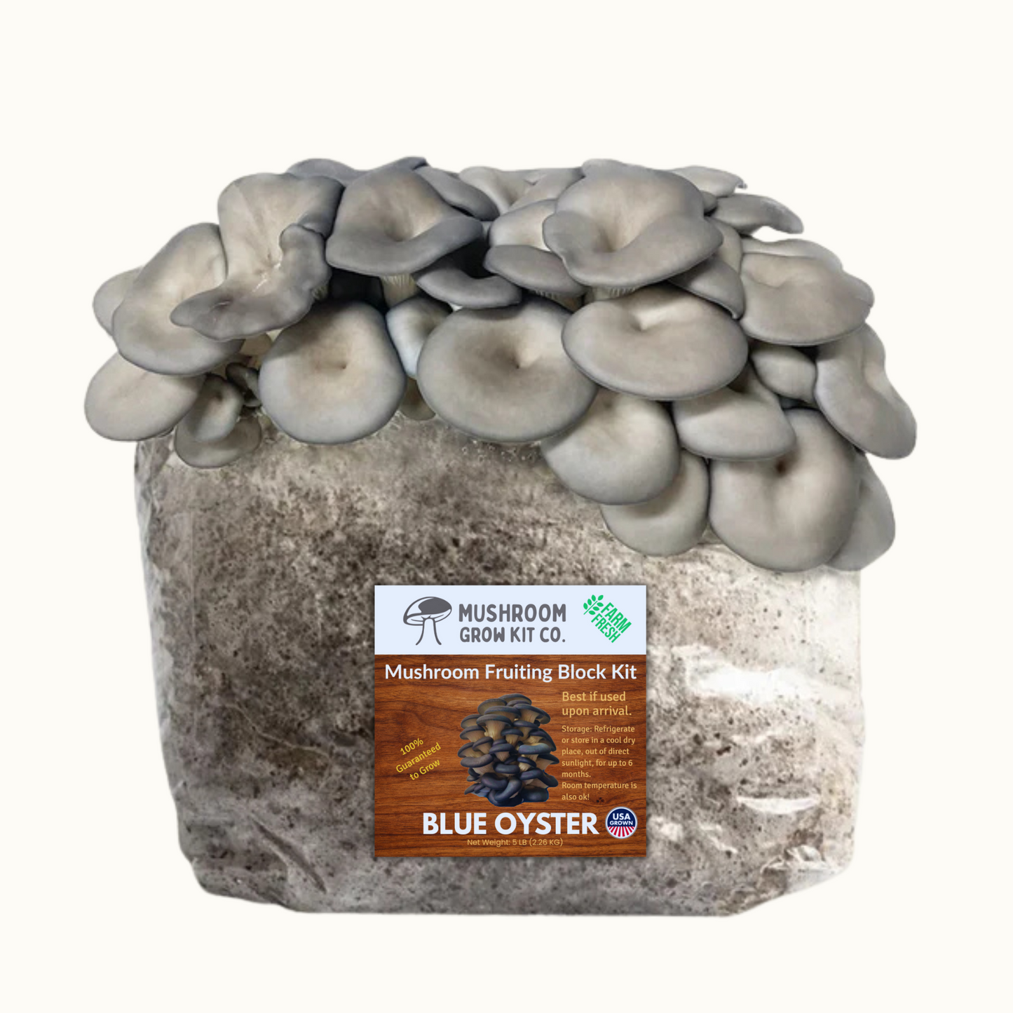 3 Pack - Premium Gold, Pink, and Blue Oyster Mushroom Fruiting Block Grow Kits - 15 LBS
