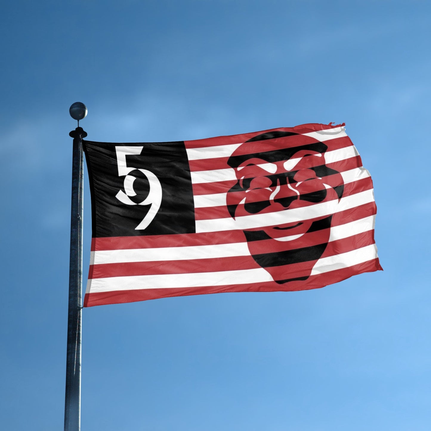 Mr. Robot Fsociety 5/9 Flag