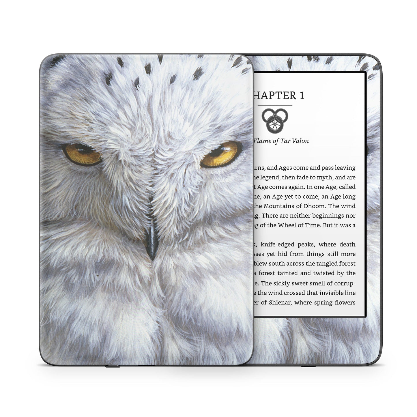 Snowy Owl - Amazon Kindle Skin