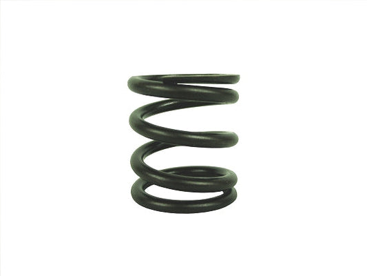 Briggs & Stratton LO206 / Animal Valve Spring 26826 - Progressive Rate - LO206 Legal