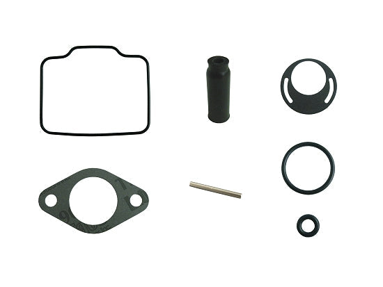 Briggs & Stratton LO206 Carburetor Rebuild Kit (OEM #555605)