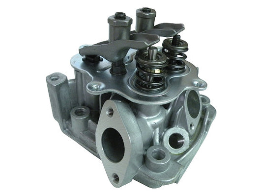 Briggs & Stratton LO206 Animal Cylinder Head - OEM Spec - LO206 Legal