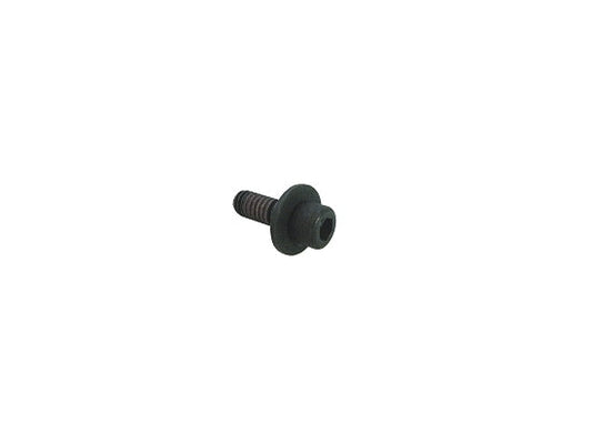 Metric Intake Screw for Current Briggs Animal and LO206 Models