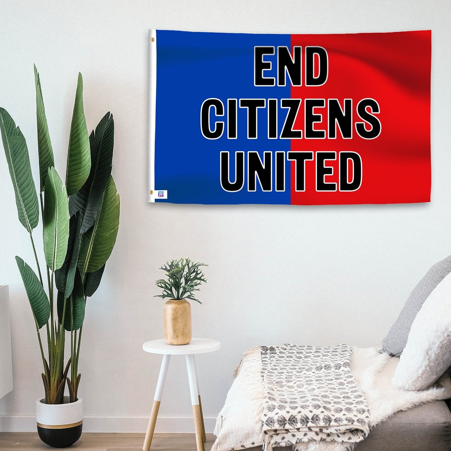 End Citizens United Flag