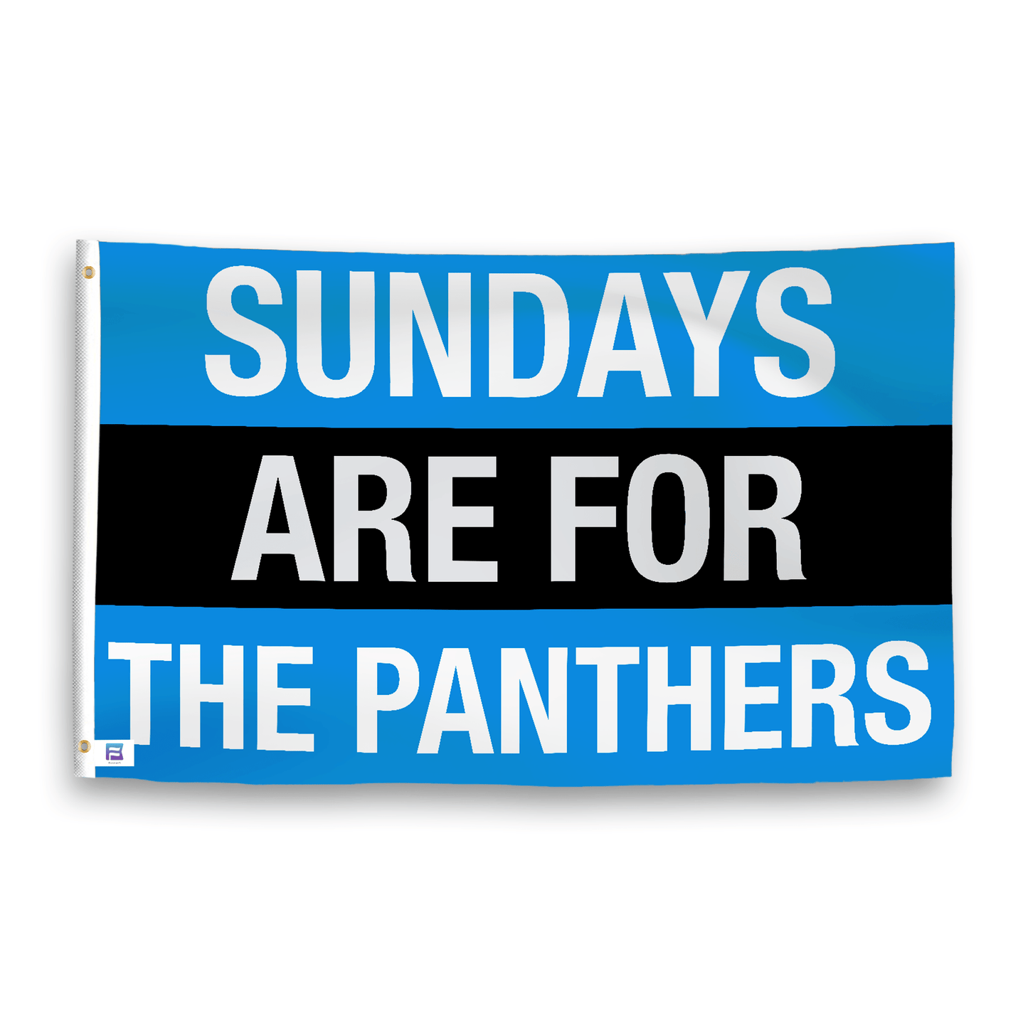Sundays Are for the Panthers Flag