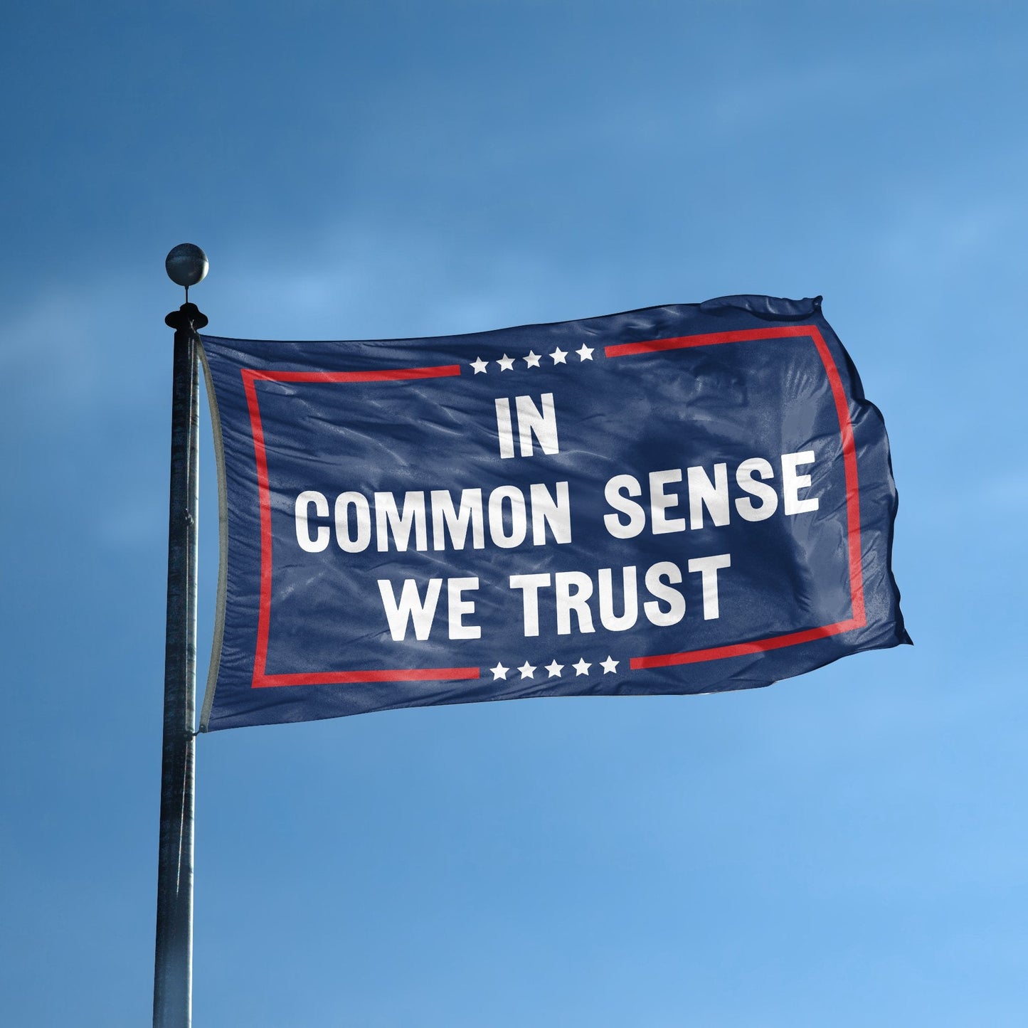 In Common Sense We Trust Political Flag