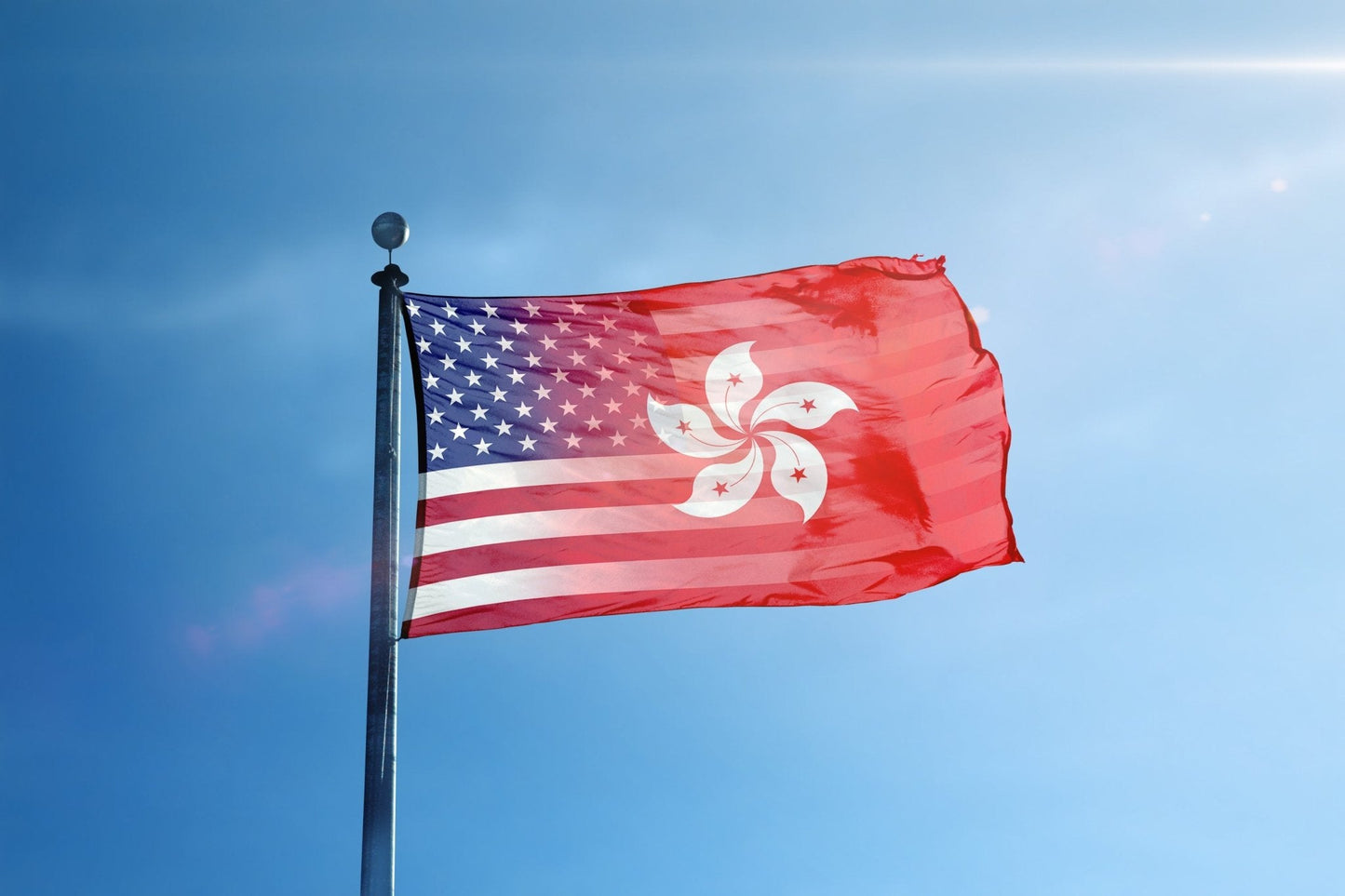 Hong Konger American Hybrid Flag