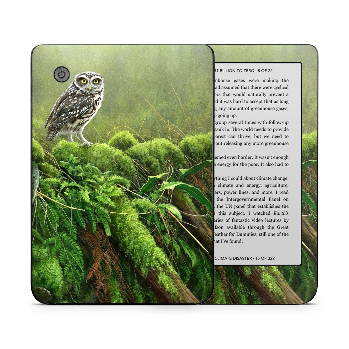 Tumbledown - Kobo Clara 2E Skin