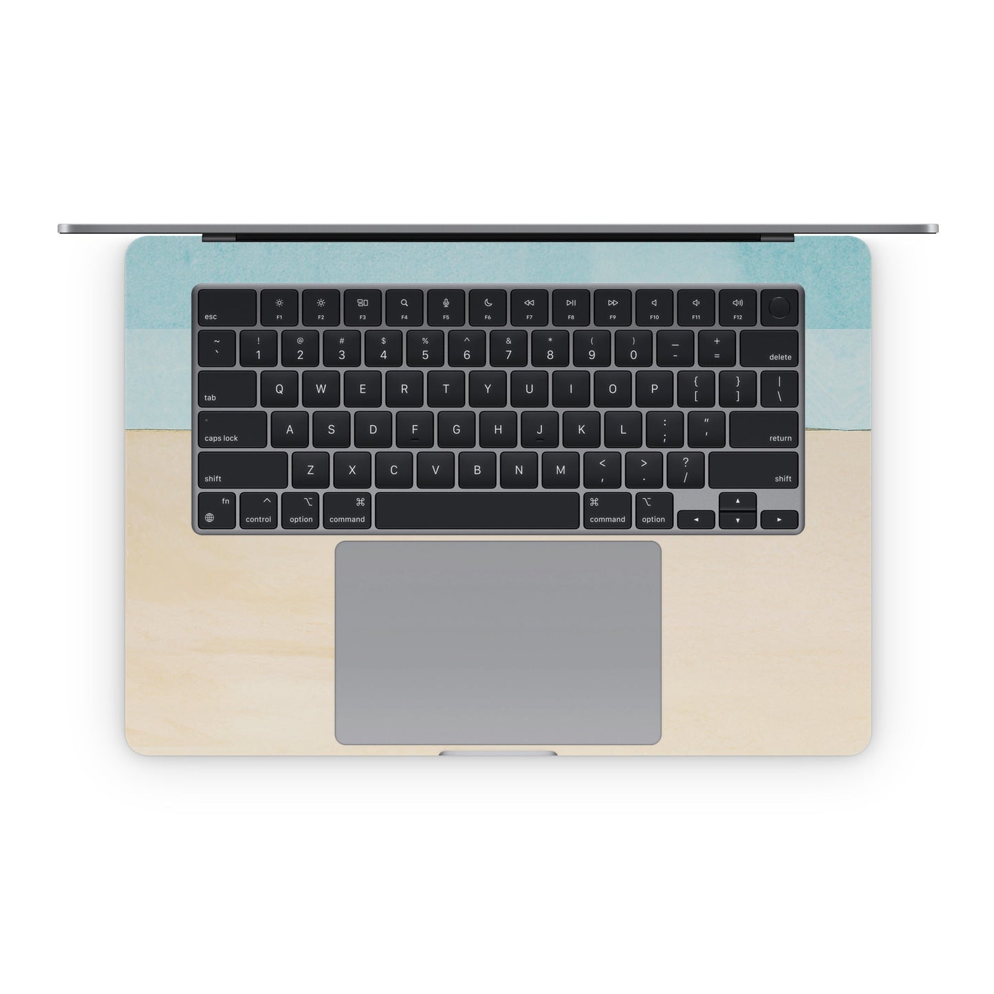 Cactus - Apple MacBook Skin