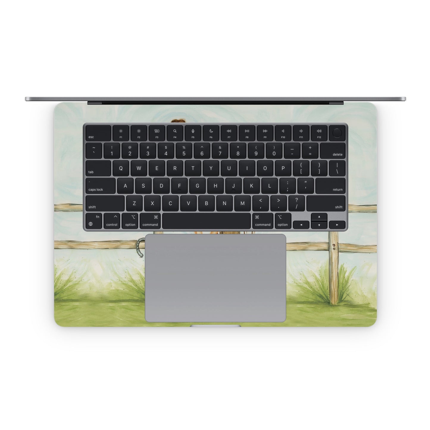 Cowgirl Glam - Apple MacBook Skin