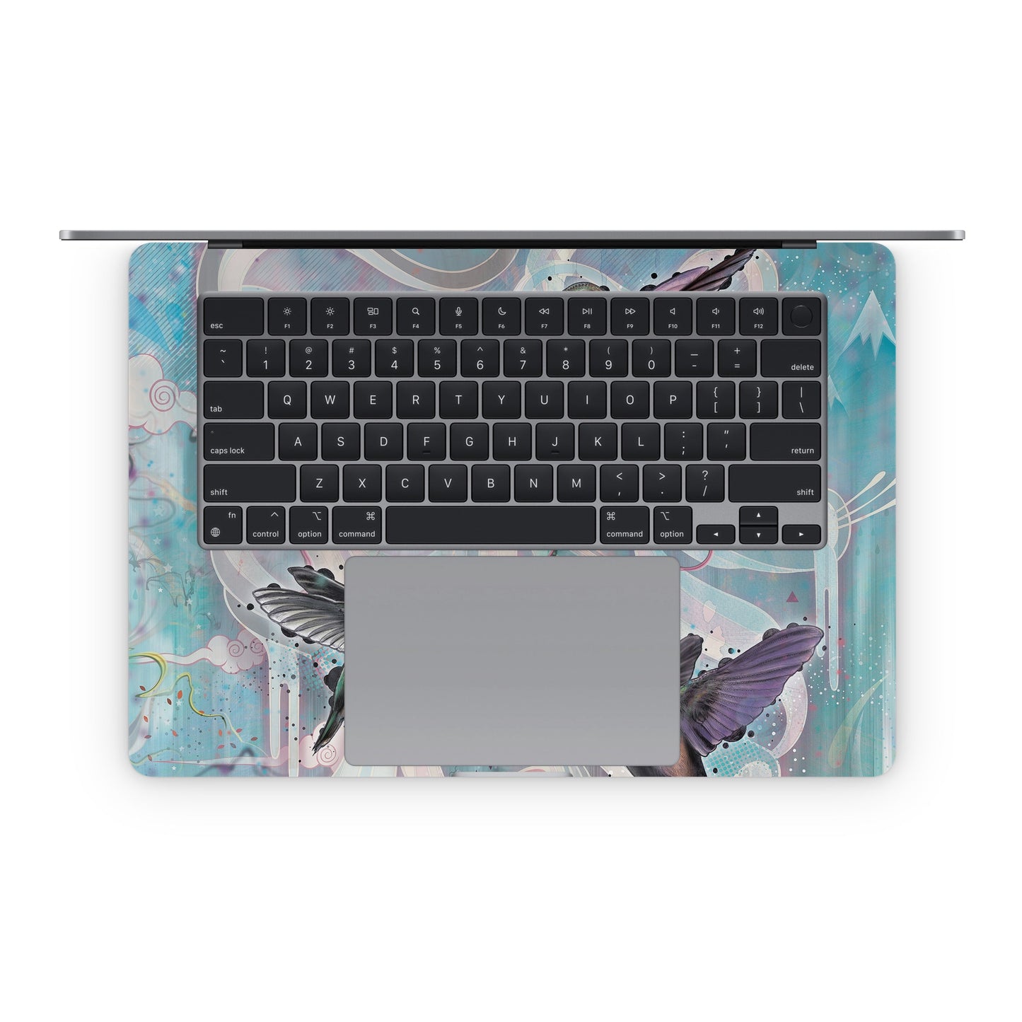 Hummingbirds - Apple MacBook Skin