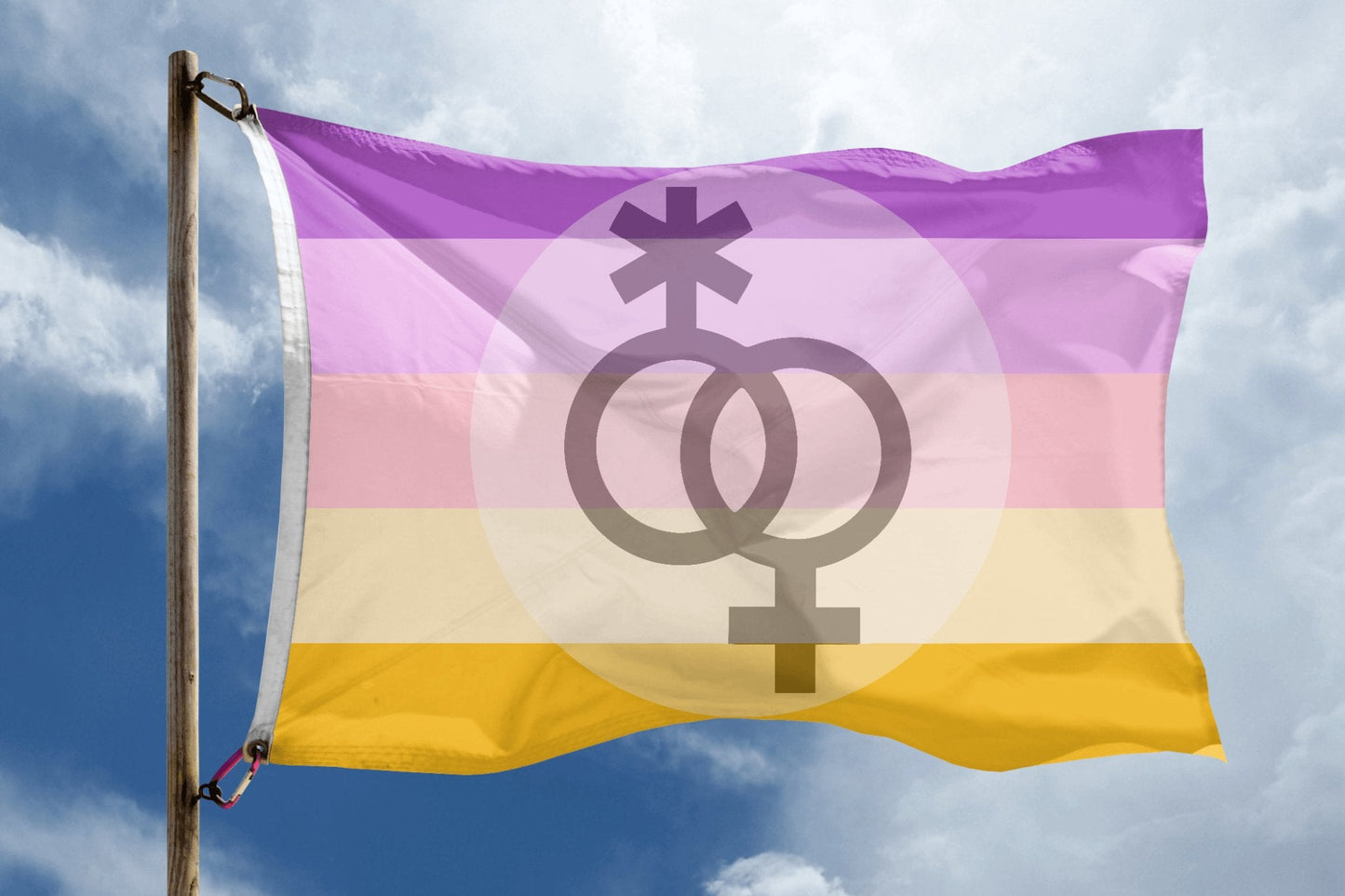 NBLW Flag