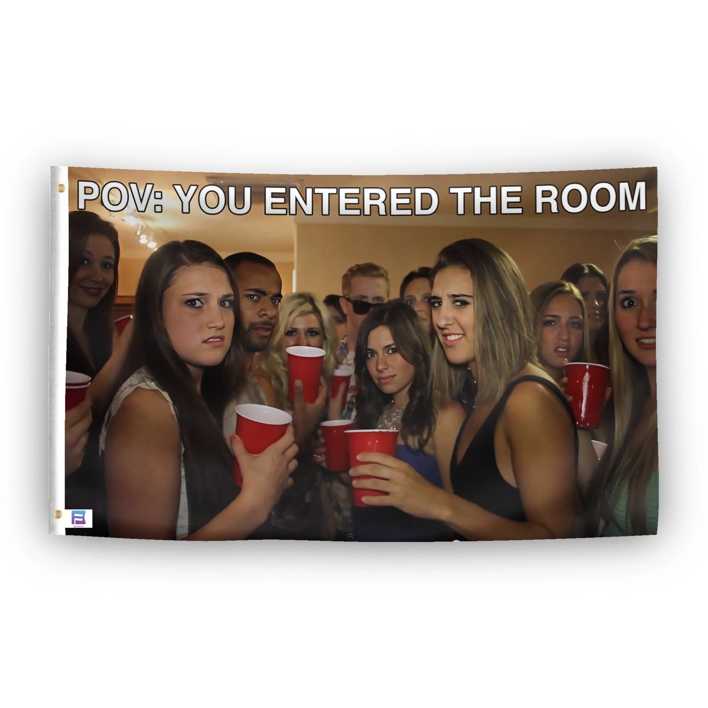 POV You Entered The Room Meme Flag