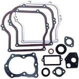 Complete Gasket Set for Briggs Raptor Engine Overhaul