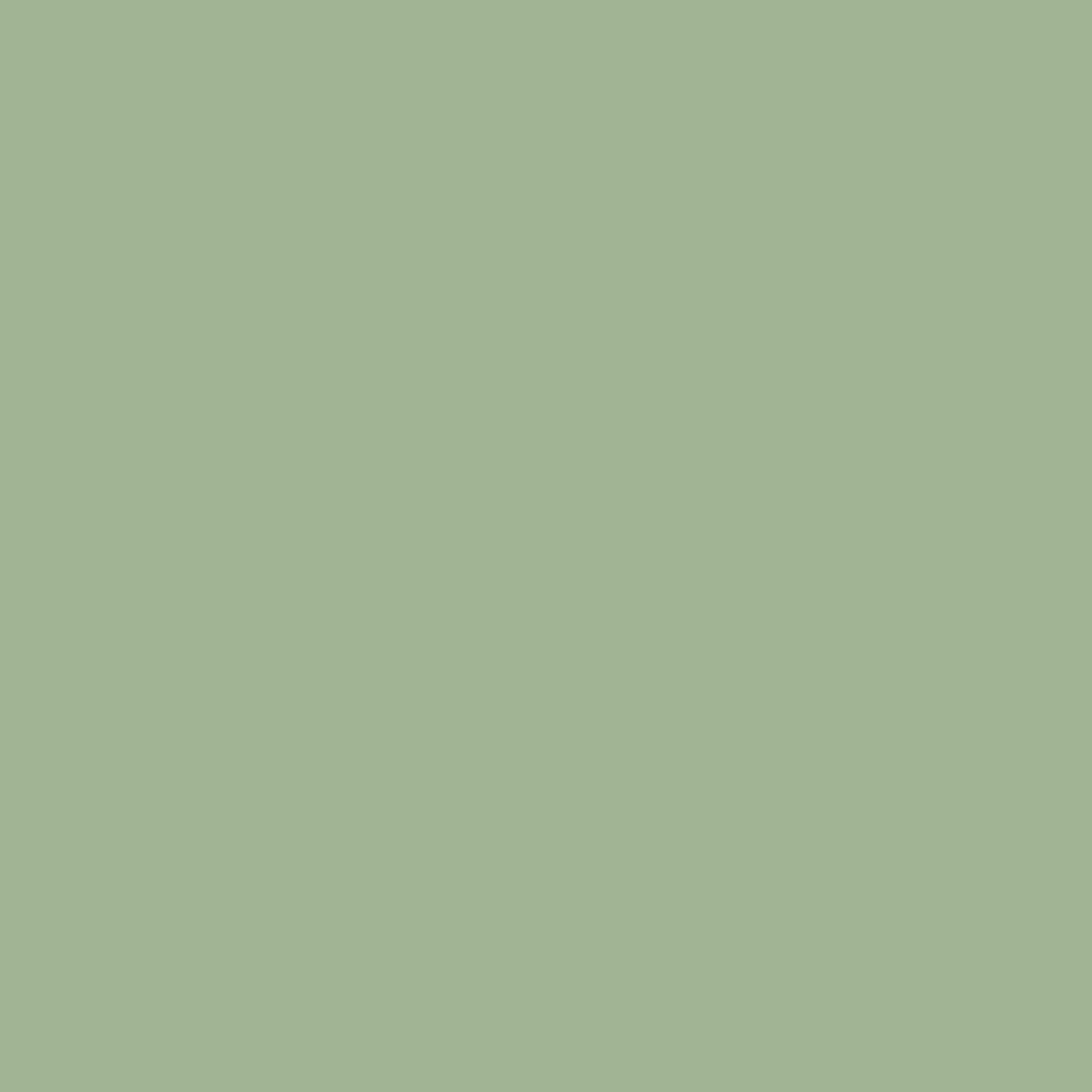 Solid State Sage - DJI Motion Controller 2 Skin