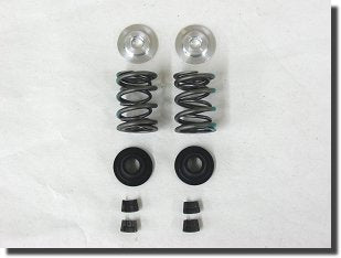 Dyno Raptor Dual Valve Spring Kit with Retainers for Flathead