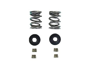 Complete Dyno Animal Dual Valve Spring Kit Including Retainers and Locks