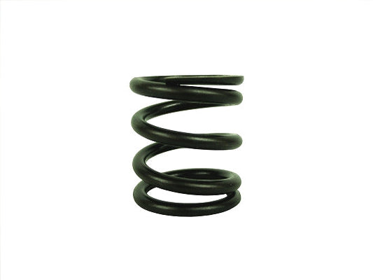 High Tensile Dyno Animal Valve Spring for Low RPM Builds