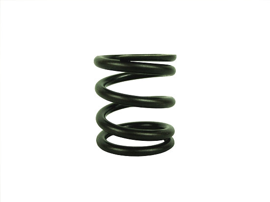Heavy Duty Dyno Animal Valve Spring for AN002W Cam Compatibility