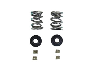 Dyno 32# Dual Valve Spring Kit for High-Rev Clone Engines
