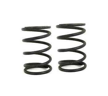 WMS Engine Builder Clone Valve Springs Pair for Kart Racing